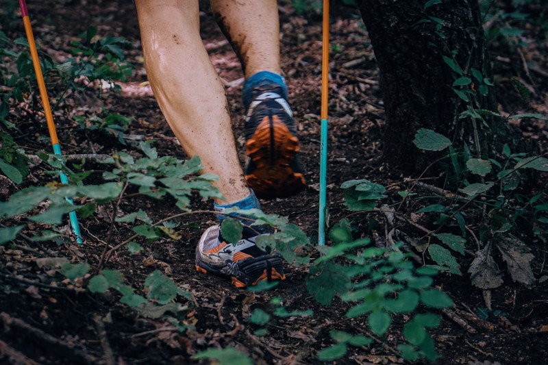 ����鿴ԭʼͼƬ